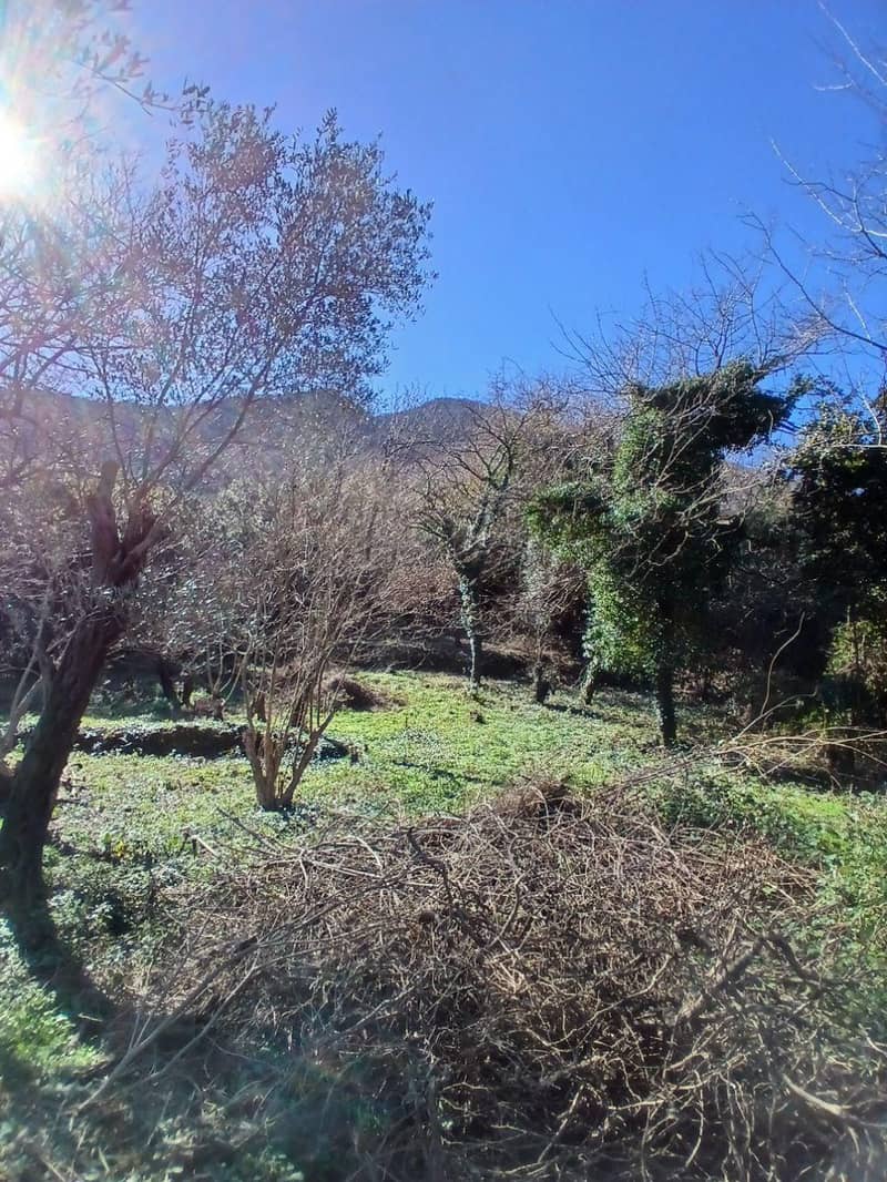 Land Plot on First Line in Stoliv, Kotor – 2,200 m² — photo 4