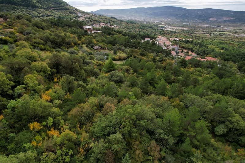 Участок в Каваче — фото 5