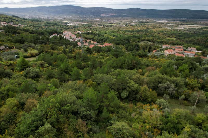 Участок в Каваче — фото 4