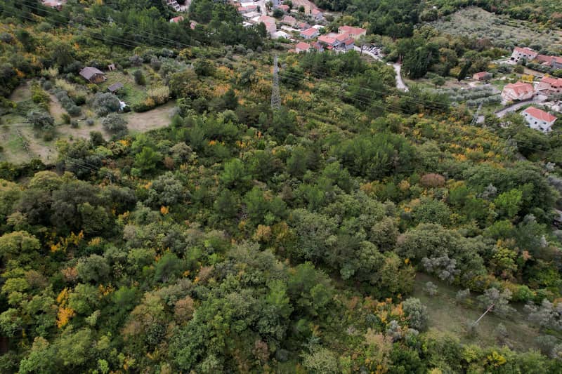 Участок в Каваче — фото 12