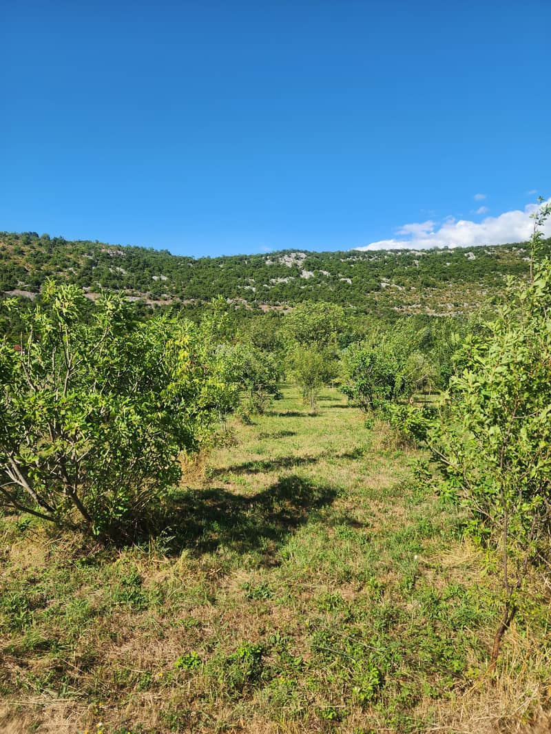 FOR SALE – House with Large Plot and Fruit Garden near Danilovgrad — photo 4