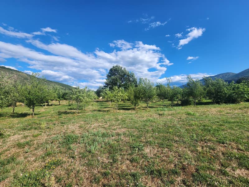 FOR SALE – House with Large Plot and Fruit Garden near Danilovgrad — photo 3