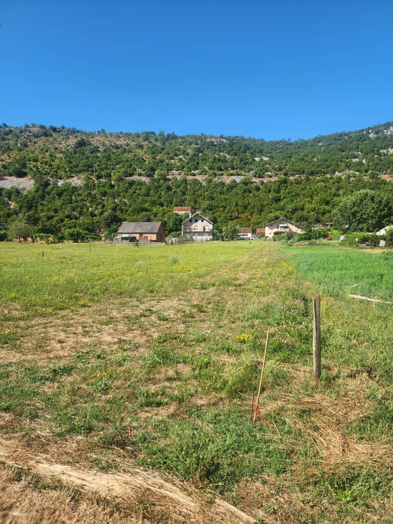 FOR SALE – House with Large Plot and Fruit Garden near Danilovgrad — photo 6