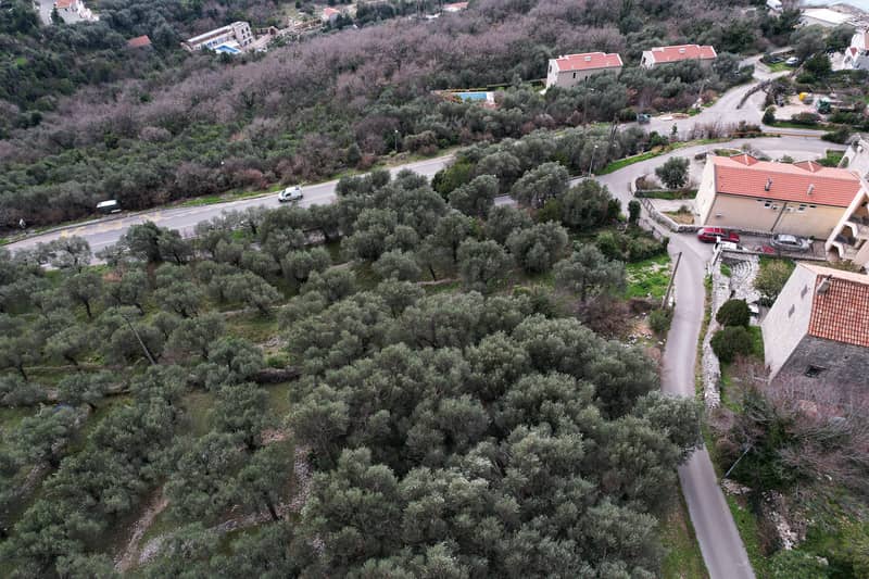 LAND PLOT FOR SALE — RUDINIĆI, MUNICIPALITY OF PLUŽINE — photo 5