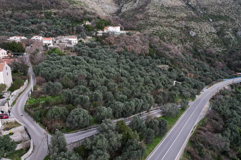 LAND PLOT FOR SALE — RUDINIĆI, MUNICIPALITY OF PLUŽINE — photo 9
