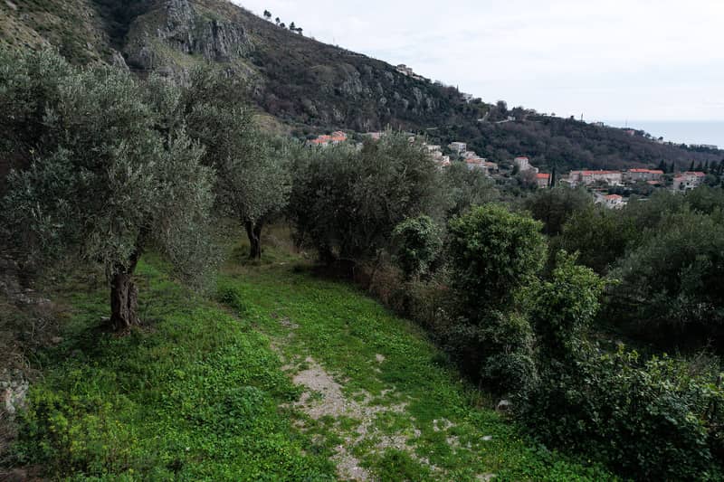 LAND PLOT FOR SALE — RUDINIĆI, MUNICIPALITY OF PLUŽINE — photo 8