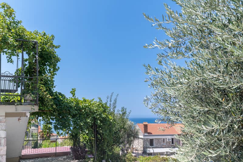 Spacious apartment with sea view in Sveti Stefan — 77 m² — photo 2