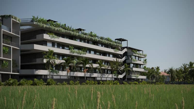 Income-Generating Apartments 100 Meters from Chemagi Beach (001505) — photo 17