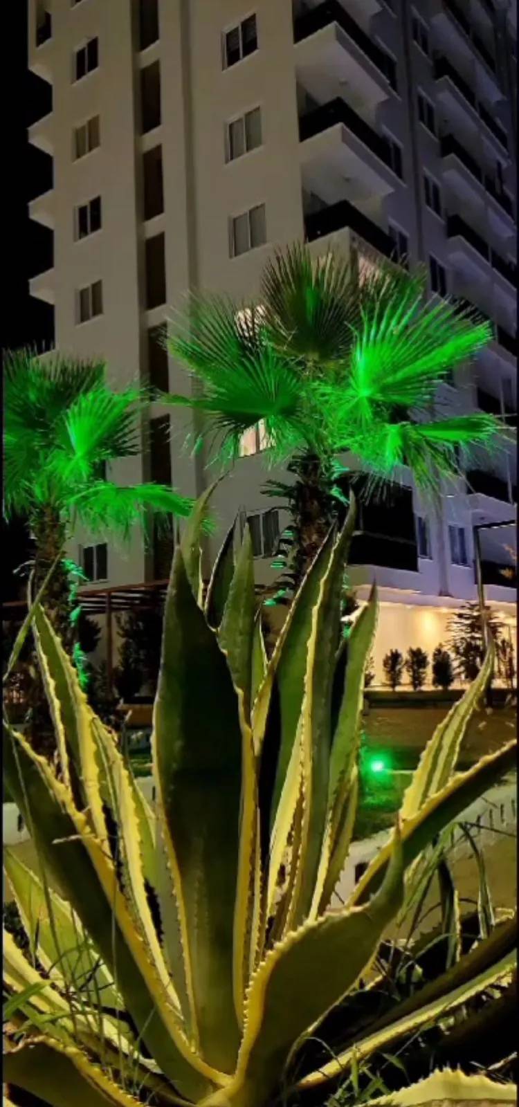 Apartment, Alanya — photo 43