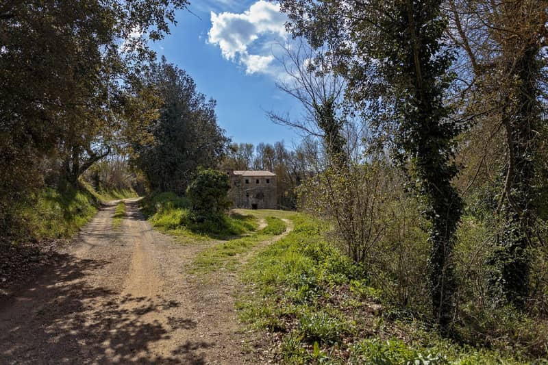 Historic Estate for Renovation, Flaçà, Spain — photo 21