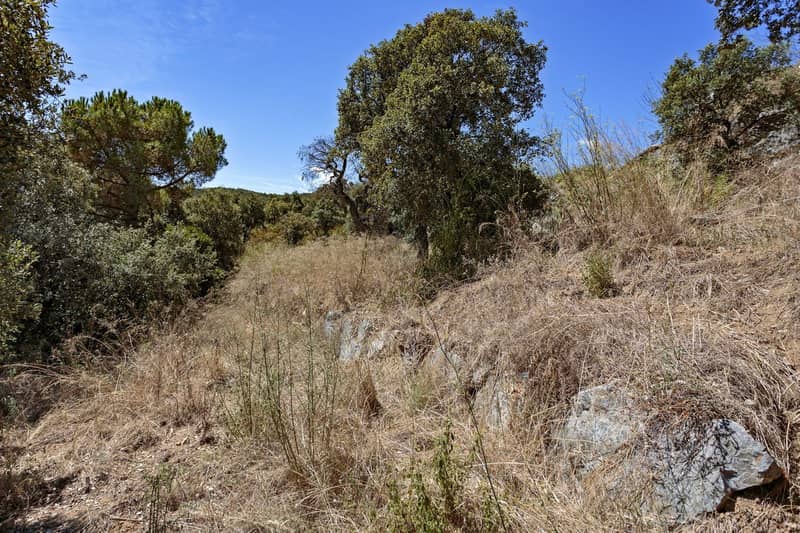 Land Plot, Calongé — photo 3