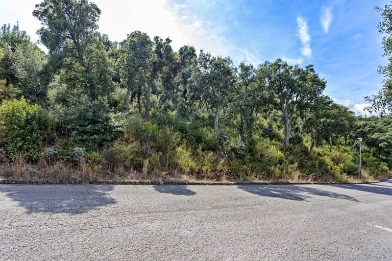 Land Plot in Calongé, Costa Brava — photo 3