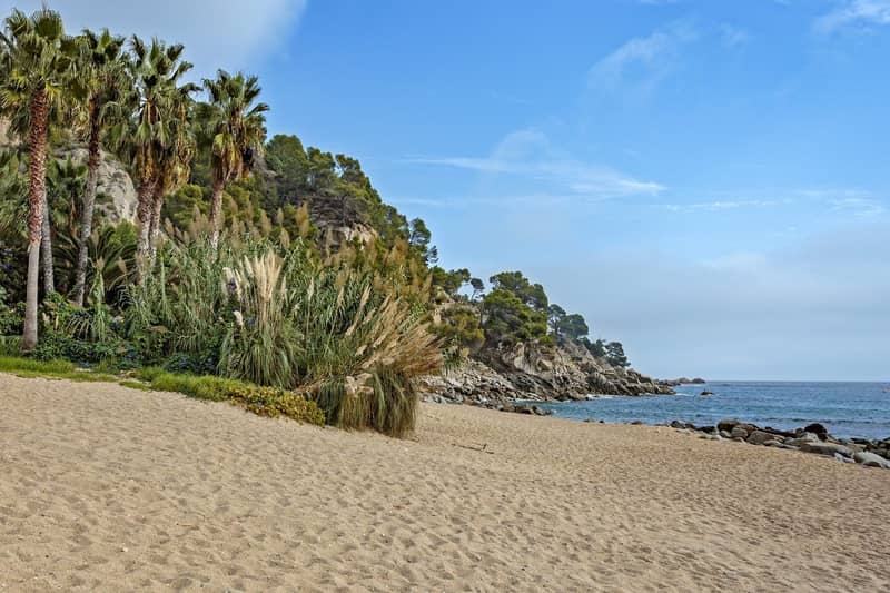 Seafront Land Plot in Tossa de Mar, Costa Brava — photo 6