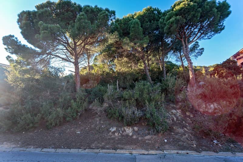 Land Plot in Lloret de Mar, Costa Brava — photo 5