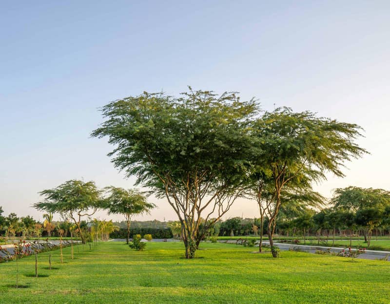 Large-scale project of premium villas in Al Faqa area, Abu Dhabi, UAE — photo 17