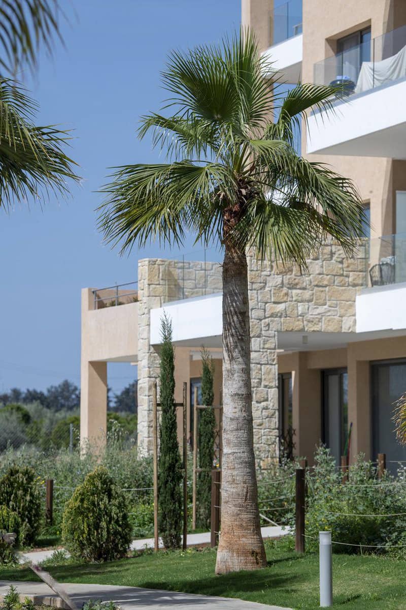 Gated community with swimming pools and gardens near the coast and golf club, Limassol, Cyprus — photo 7