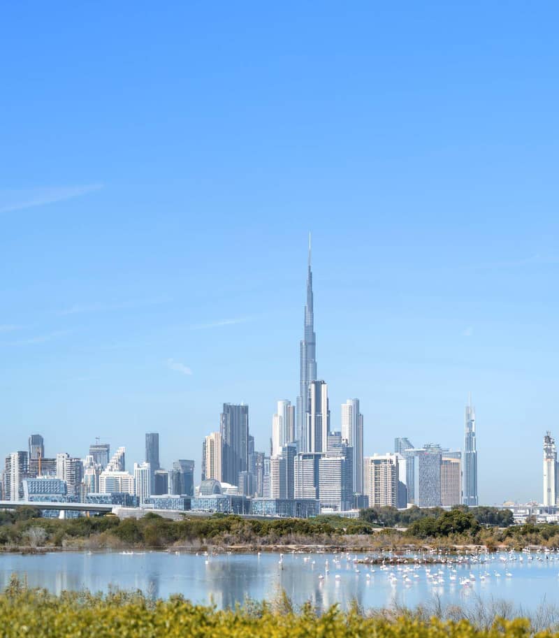 Premier residential development The Element with a wide range of amenities in Sobha One area, Dubai, UAE — photo 12