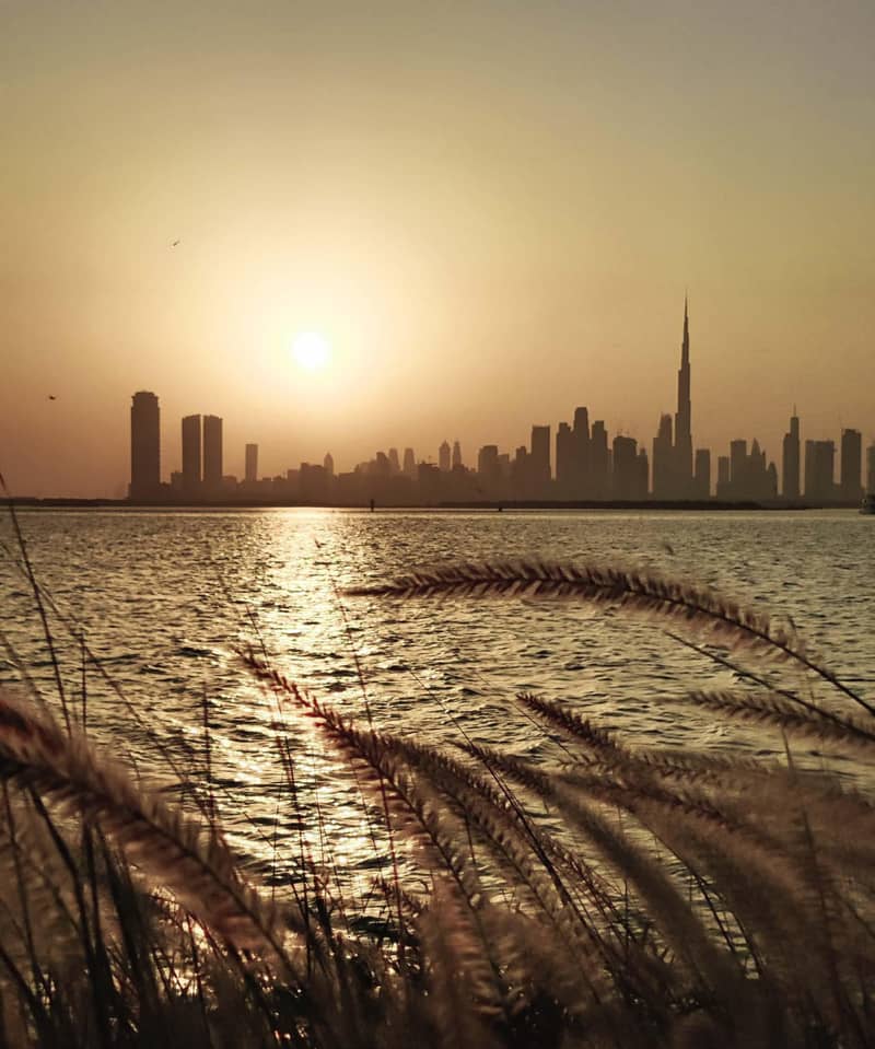 Premier residential development The Element with a wide range of amenities in Sobha One area, Dubai, UAE — photo 13