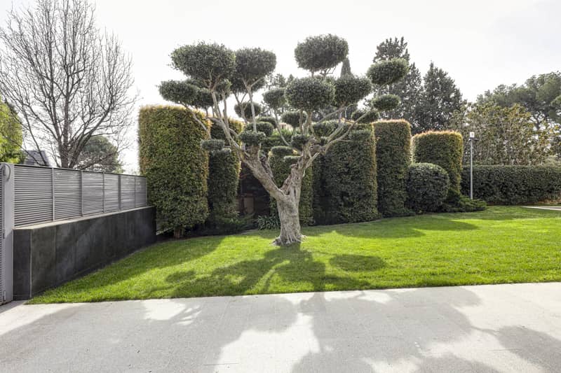 Villa, Pedralbes — photo 6