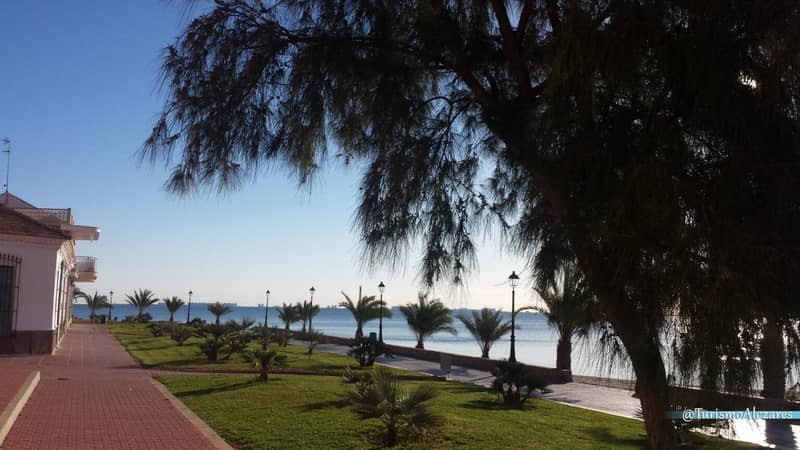 Вилла в Лос-Алькасарес — фото 11