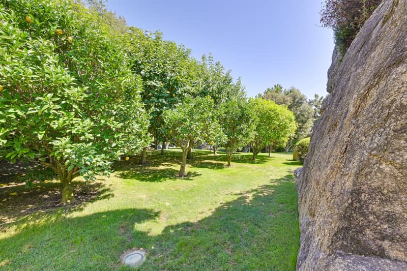 Villa, Sant Andreu de Llavaneres — photo 6