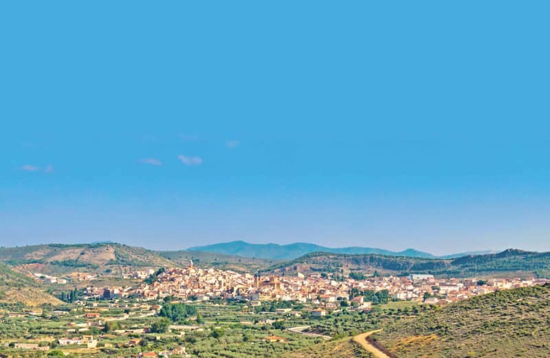 Commercial Property, Costa Blanca — photo 14