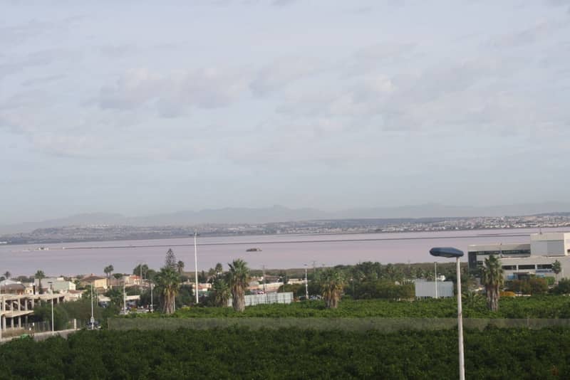 Duplex, Torrevieja — photo 26
