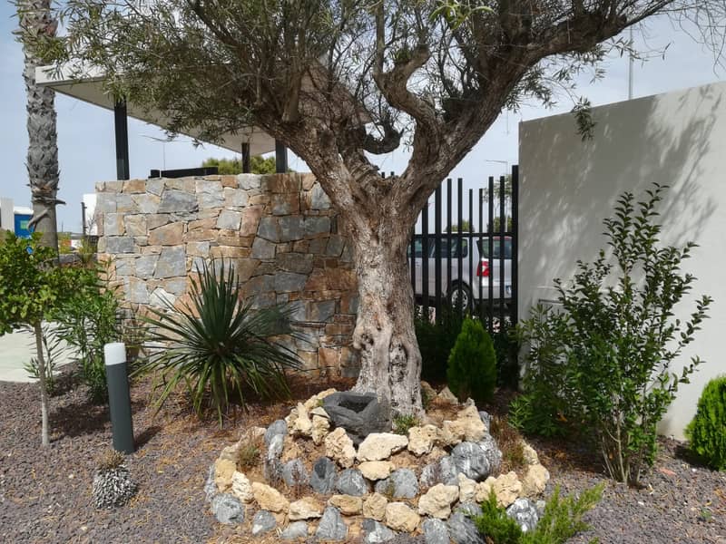 Bungalow, Torrevieja — photo 22