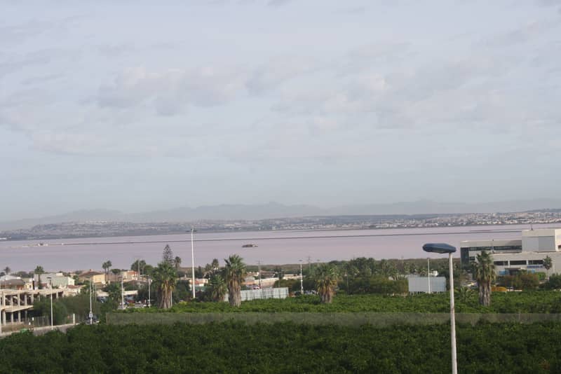 Apartment, Torrevieja — photo 7