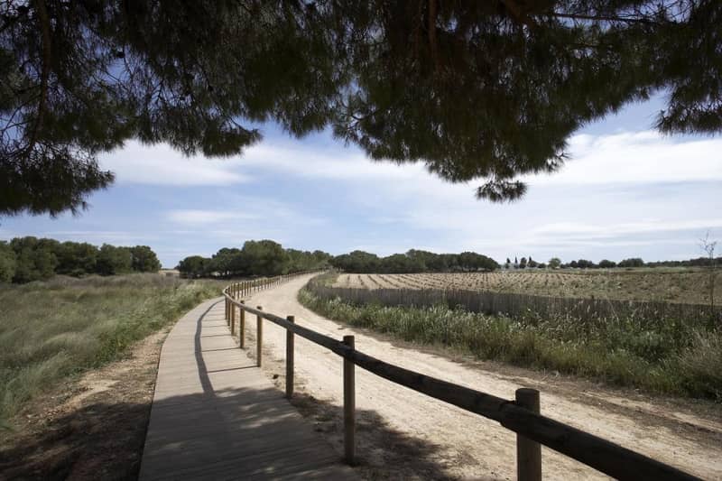 Bungalow, Torrevieja — photo 6