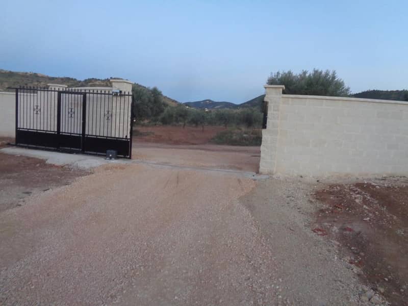Villa, Pinoso — photo 40
