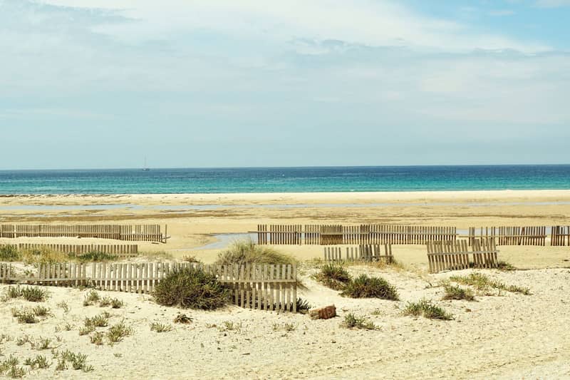 Apartment, La Manga — photo 5