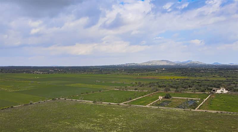 Villa, Santanyí — photo 17