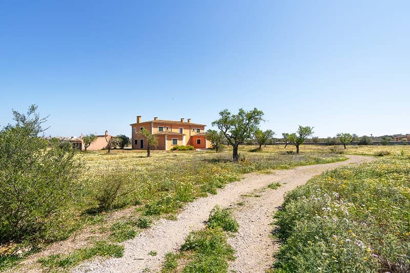 Villa in Santanyí — photo 27