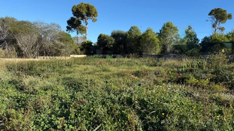 Land Plot in Jávea — photo 2