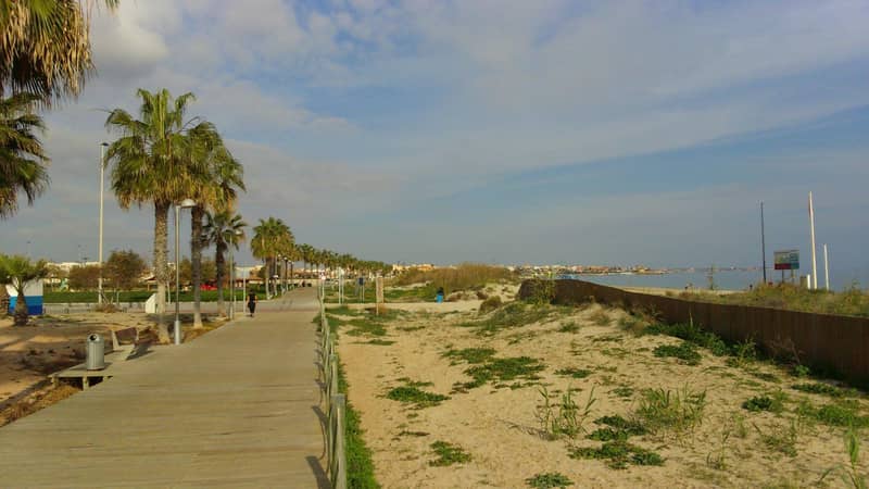 Villas, Pilar de la Horadada — photo 13