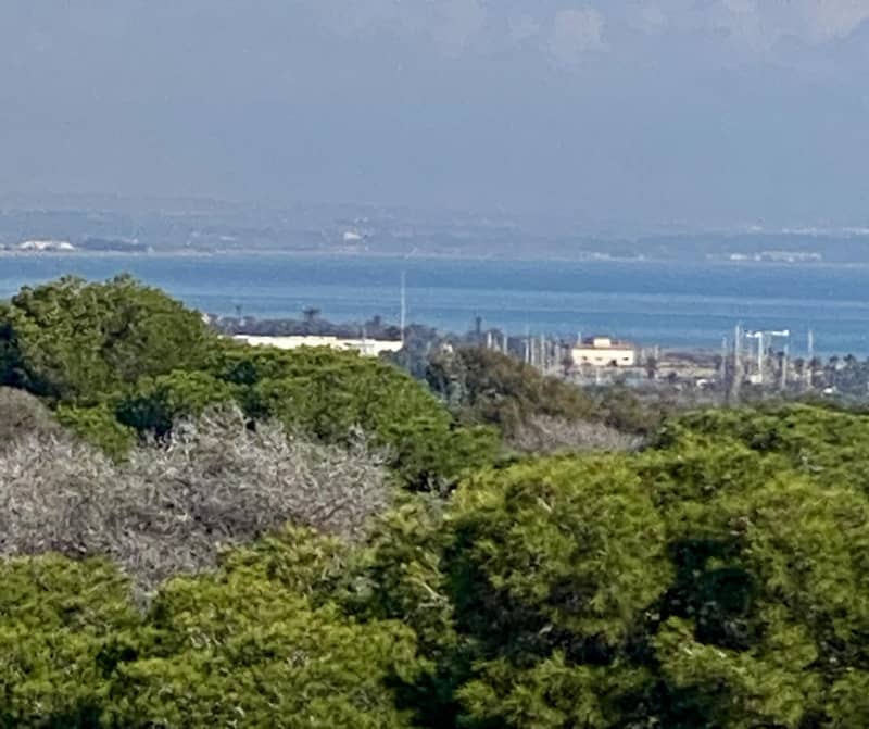 Apartments, Guardamar del Segura — photo 18