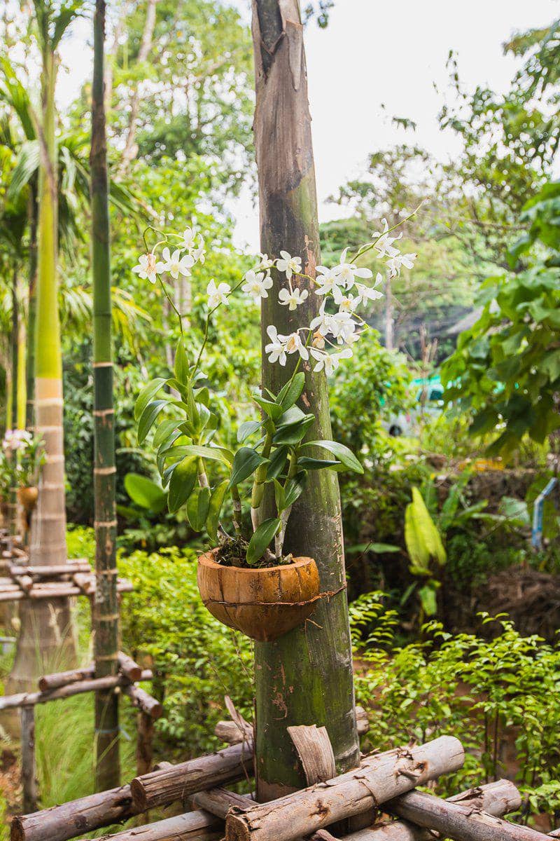 Turnkey apartments in a residential complex near Karon Beach, Muang Phuket, Phuket, Thailand — photo 28