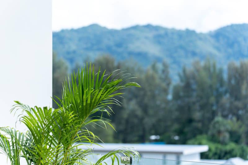 Turnkey investment apartments 150 meters from Bang Tao Beach, Phuket, Thailand — photo 15