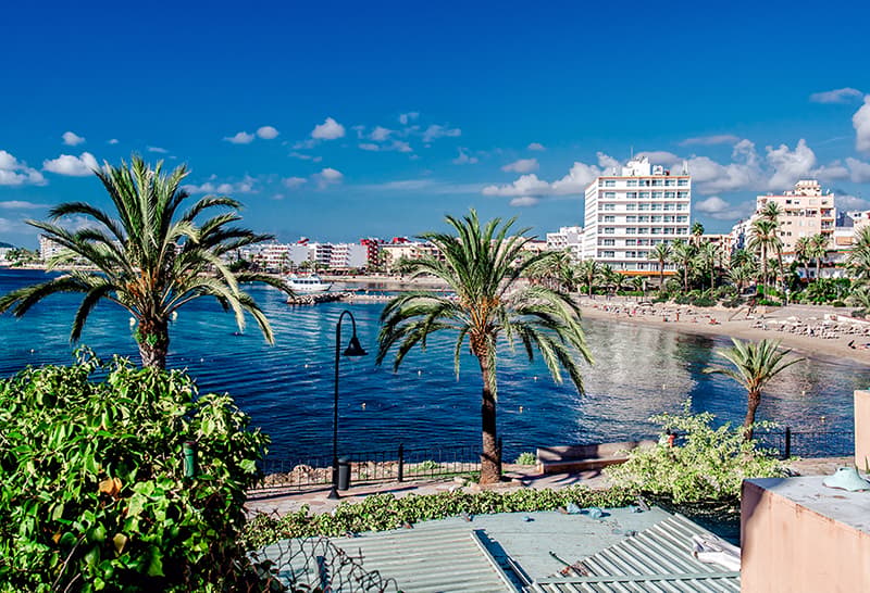 Beach view with palm trees