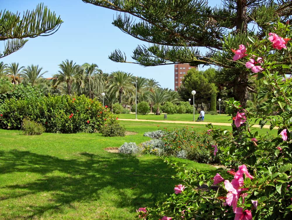 Park in the city