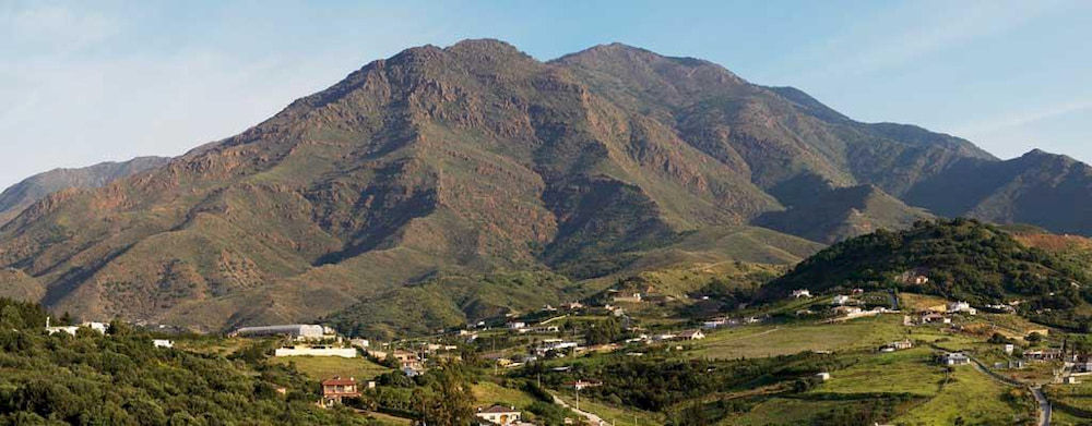 Bermeja