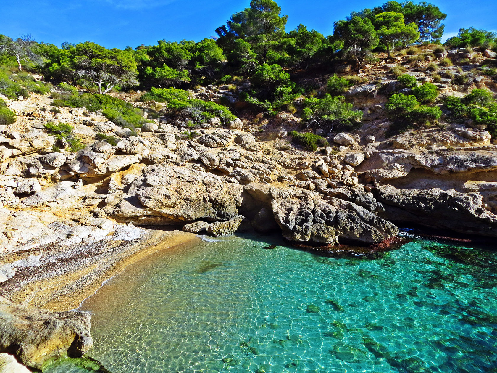 Rocky cove - Raco del Conill