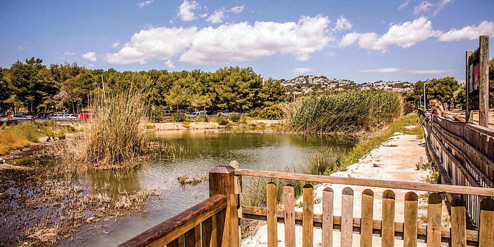 Marjal del Senillar wildlife reserve