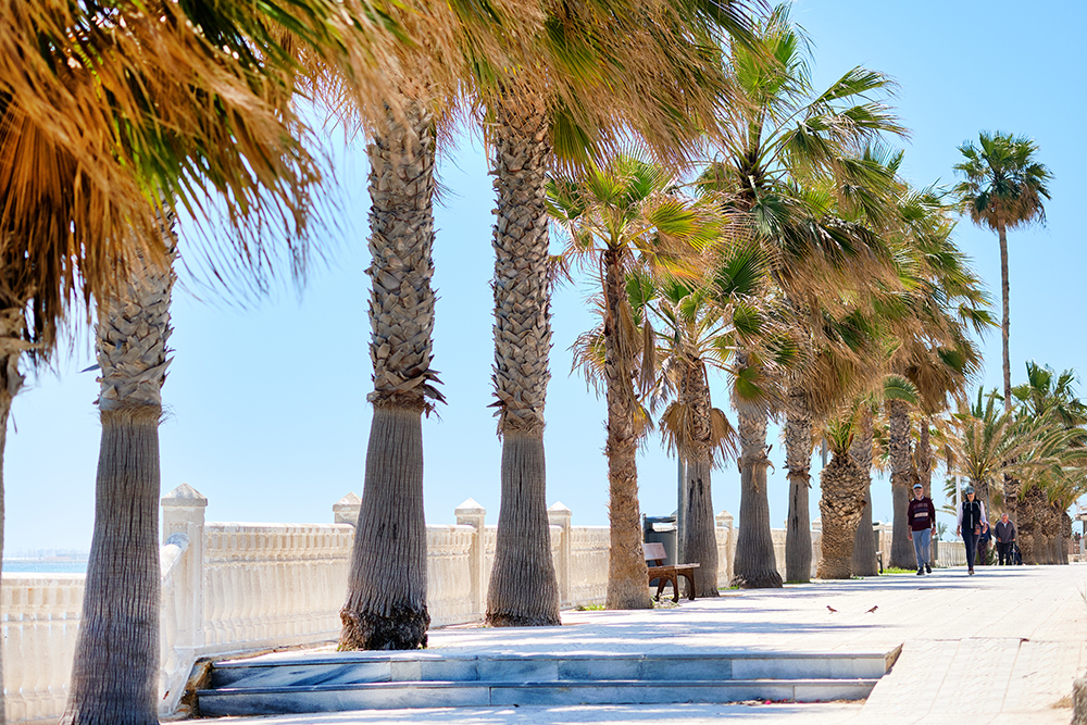 Pilar de la Horadada Promenade