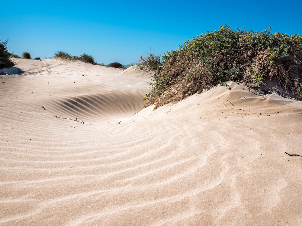 Sand dunes