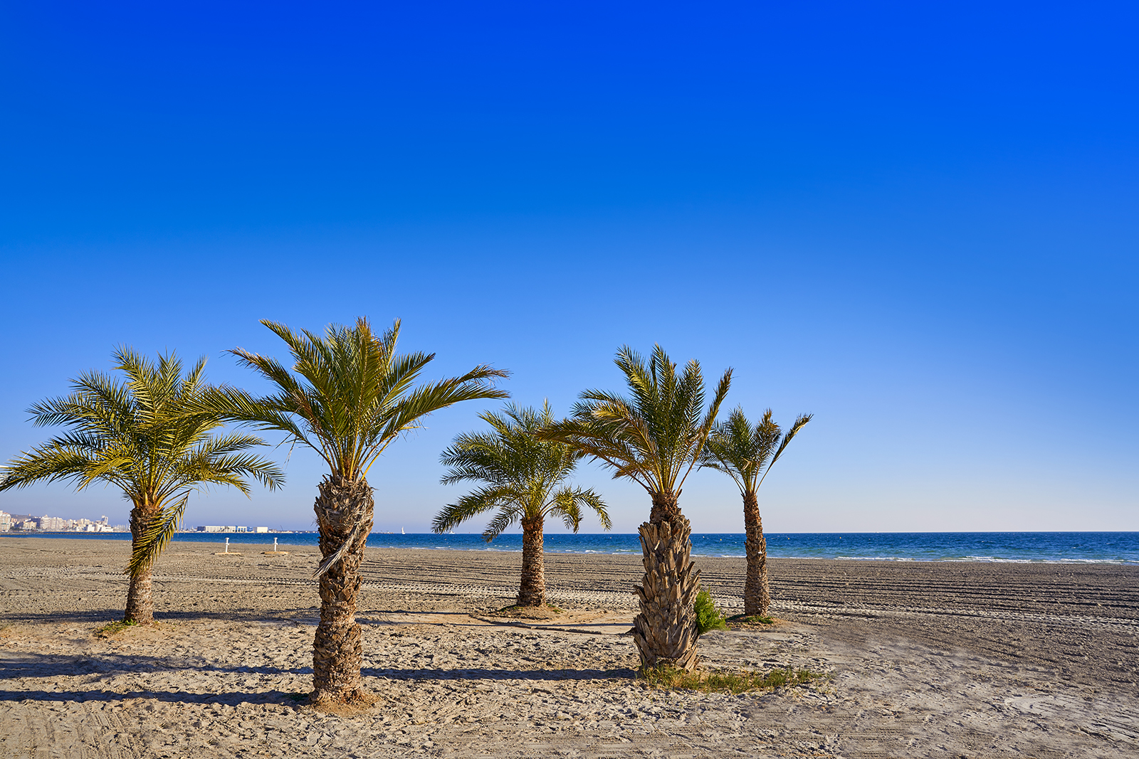 Tamarit beach view