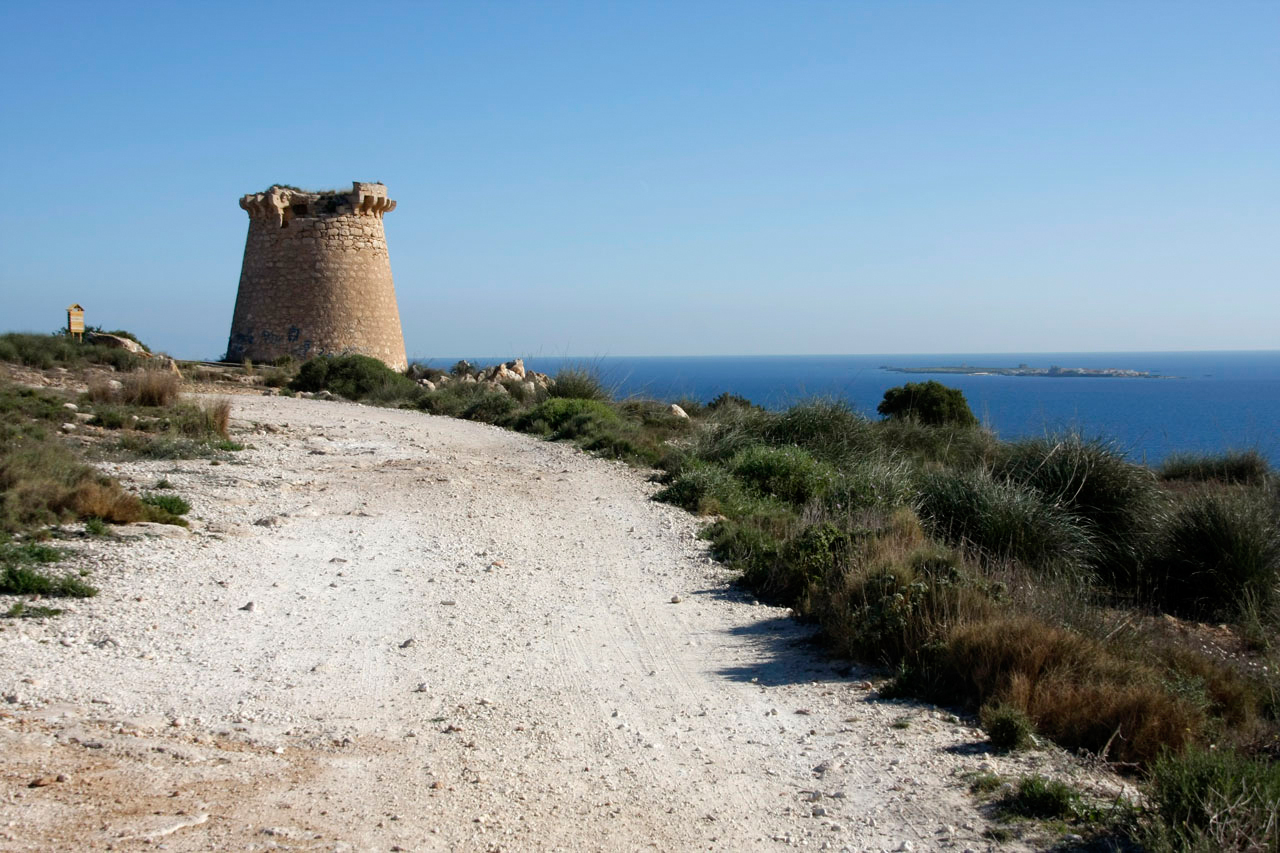 Tower of Escaletes