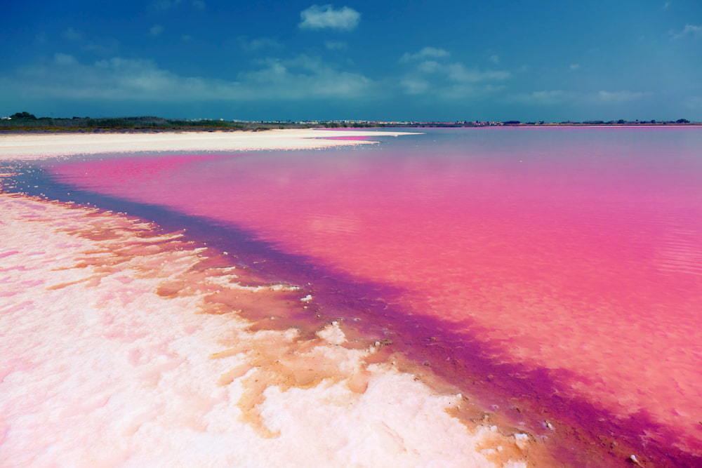 Pink salt lake