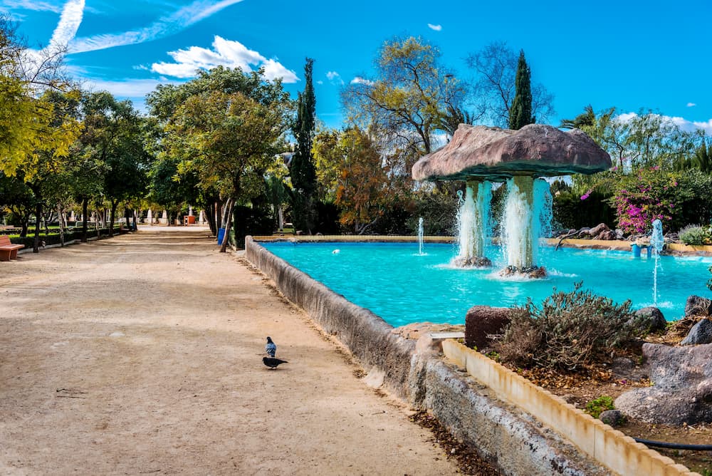Park in the city